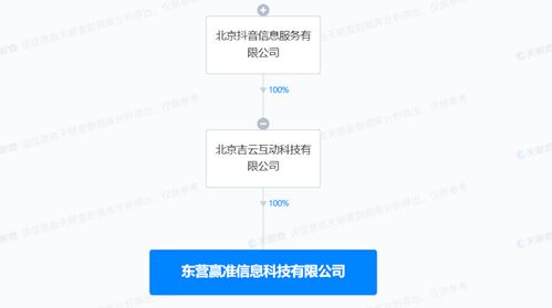 數據處理與存儲支持服務 構建數字時代的堅實基座
